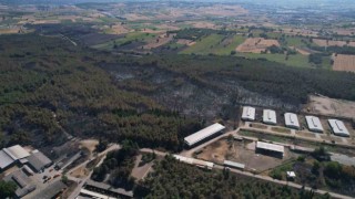 Uludağ Üniversitesindeki yangının hasarı ortaya çıktı: 897 dekar orman ve biçilmiş alan küle döndü