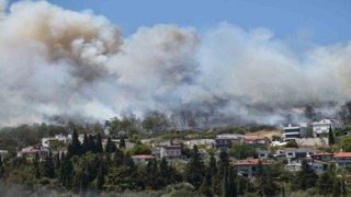 Urla ve Çeşmede orman yangını
