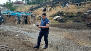 Uşakta çıkan yangın evlere ve ormanlık alana sıçramadan söndürüldü