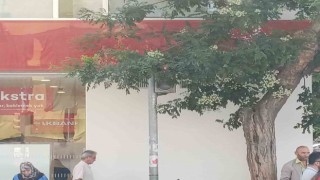 Uzayan ağaç dalları trafik lambasının önünü kapattı
