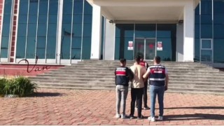 Vanda 10 kişi tutuklandı