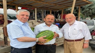 Vezirköprü karpuzu tezgahlarda