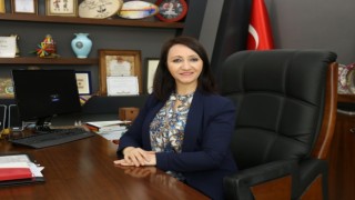 Vosvos severler Pazaryerinde bir araya geliyor