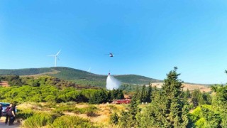Yalovada iki noktada çıkan yangınlar kontrol altına alındı