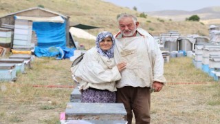 Yarım asırdır arıcılık yapan çift, 5 çocuk büyütüp evlendirdi