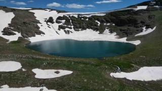 Yeşile bürünen Faraşin Yaylası kartpostallık manzaralar oluşturdu