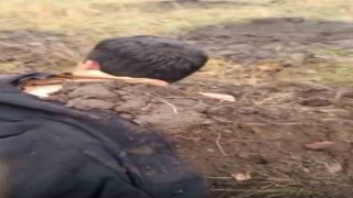 Yıldırımın çarpan çocuklarını toprağa gömerek kurtardılar