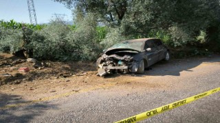 Yol kenarındaki ağaca çarpan otomobilin sürücüsü hayatını kaybetti