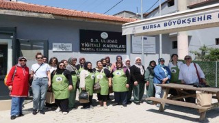 Yukarı Sakarya Havzasında Arazi Tahribatını Dengeleme Projesi devam ediyor