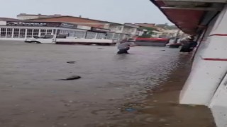 Zilede sağanak nedeniyle galericiler sitesi göle döndü