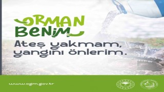 Zonguldak Valiliği orman yangınlarına karşı uyardı