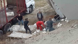 2 bin 500 canlı tavuk yüklü kamyon virajı alamayarak devrildi