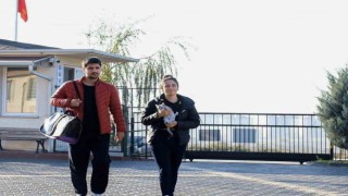 266 can dostu yeni yuvasına kavuştu