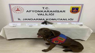3 bin 200 içimlik peceteye emdirilmiş uyuşturucu ele geçirildi