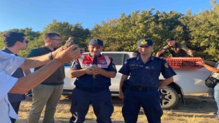 600 keklik doğaya salındı