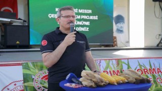Adana Tarım ve Orman Müdürü Kökçüoğlu: 2025 yılında tüm ürünler için mazotun yüzde 50si gübrenin yüzde 25i karşılanacak