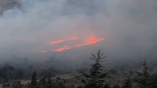 Afşinde orman yangını