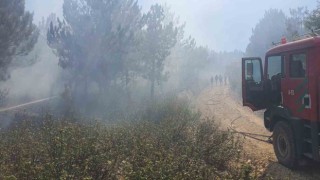 Afyonkarahisar Kırkada orman yangını