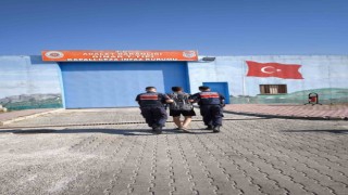 Afyonkarahisarda kaçak yakalandı