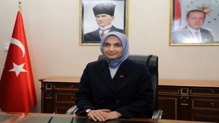 Afyonkarahisardaki orman yangınıyla ilgili 1 gözaltı