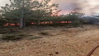 Afyonkarahisardaki yangın kontrol altına alındı