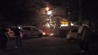 Ağacın dibindeki elektrik kablolarından çıkan kıvılcım korkuttu