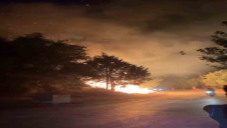 Ağaçlık alanda çıkan yangın büyümeden söndürüldü