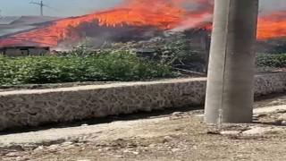 Ahır alev alev yandı, hayvanlar son onda telef olmaktan kurtarıldı