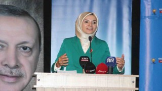 Aile ve Sosyal Hizmetler Bakanı Göktaş: “Yangından etkilenen 441 vatandaşa psikososyal destek sağlandı”