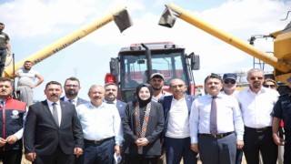 Akyurt Belediye Başkanı Ayıktan biçerdöver ile nohut hasadı
