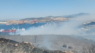 Aliağadaki orman yangını kontrol altında