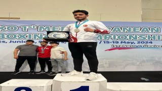 Alpaslan Hamza, Macaristan yolcusu