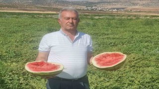 Altun: “Tarlada bedava, rafta ateş pahası”