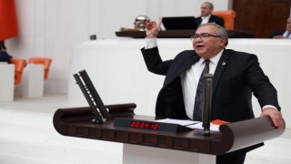 Ankara'da Köpek Ölümleri Meclis Gündeminde