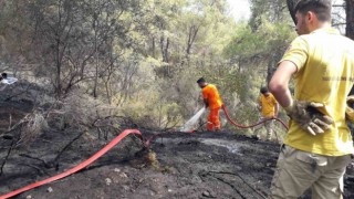 Antalya Kemerde çıkan orman yangını kontrol altına alındı