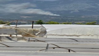Antalyada orman yangını
