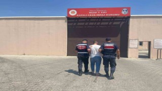 Antep fıstığı bahçelerinde hırsızlığa karşı jandarmadan kameralı önlem