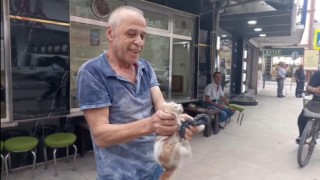Aracın altına giren kedi kurtarıldı