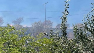 Arguvanda çıkan yangın meyve ağaçlarına zarar verdi