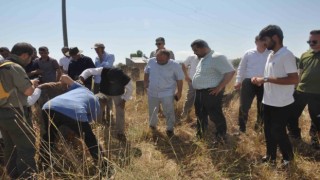 Arkeologlar Mollakentteki tarihi yerleri gezdi