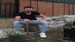 Armut ağacından düşen genç hayatını kaybetti