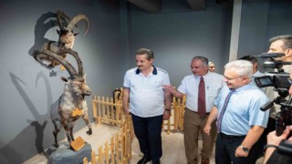 Artvinde Yaban Hayatı Müzesi kuruldu