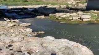 Atık suyunu dereye deşarj eden patates fabrikasına ceza