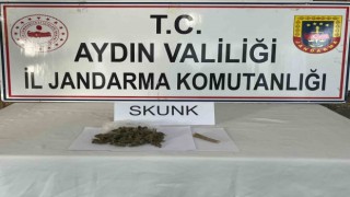 Aydın jandarmasından uyuşturucu operasyonu: 1 tutuklama