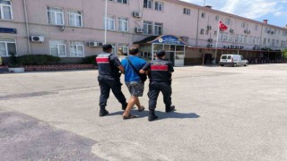Aydında aranan 30 şahıs yakalandı