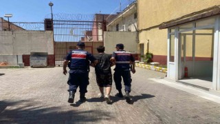 Aydında Çember 21 operasyonları: 50 şahıs yakalandı