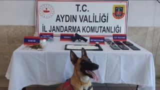 Aydında organize suç örgütü şüphelisi 294 kişi yakalandı