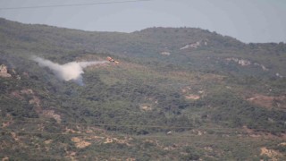 Aydındaki orman yangını kontrol altında