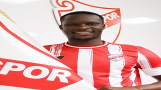 Babacar, Bolusporda