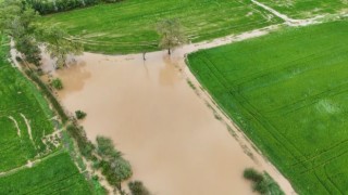 Bafra Ovasında tarım arazileri sular altında